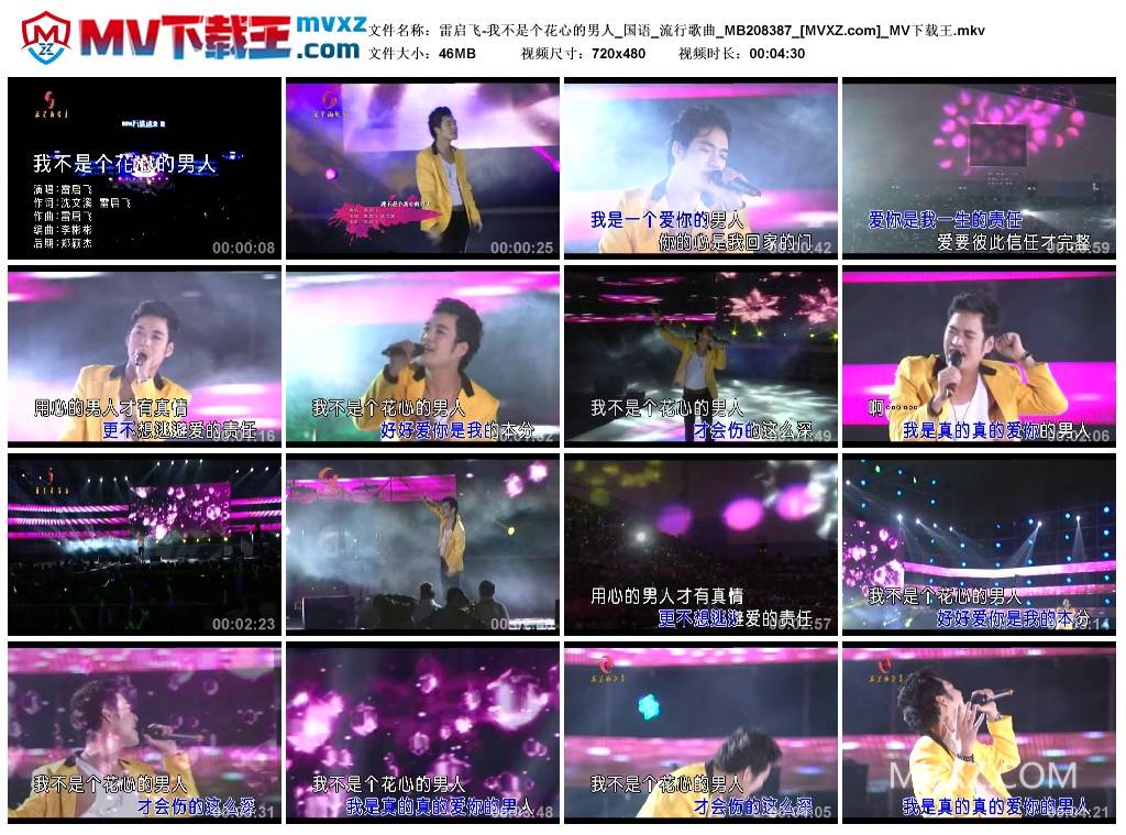 雷启飞-我不是个花心的男人_国语_流行歌曲_MB208387